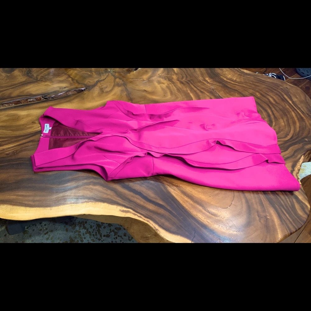 Opening Ceremony Magenta or Fuschia dress.